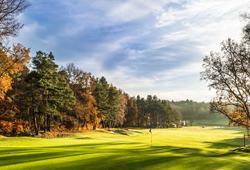 Hamburger Golf Club Falkenstein (Germany)