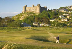 Royal St David's Golf Club (Wales)