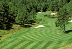 Forest Highlands Golf Club (Arizona)