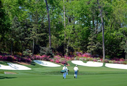 Augusta National Golf Club (Georgia)