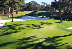 The Sea Pines Resort - Harbour Town Golf Links
