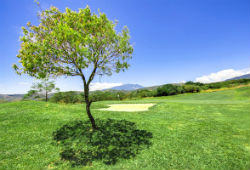 Lucero Golf & Country Club