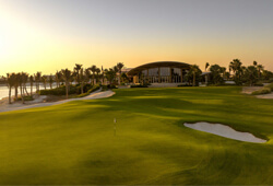 Shura Links (Saudi Arabia)