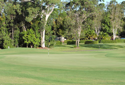 Peregian Springs Golf Club