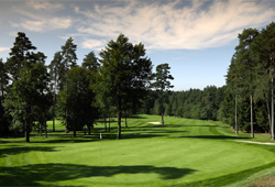 Golf Arboretum