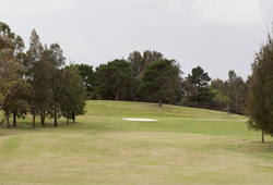 Canterbury Golf Club (Australia)