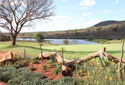 Kambaku Komatipoort Golf Club (South Africa)