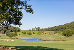 Tennessee National Golf Club (Tennessee)