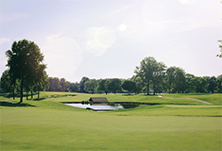 Canterbury Golf Club Beechwood