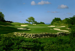 White Witch Golf Course (Jamaica)