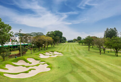 Orchid Country Club - Aranda and Dendro Course