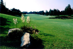 Anyang Country Club course